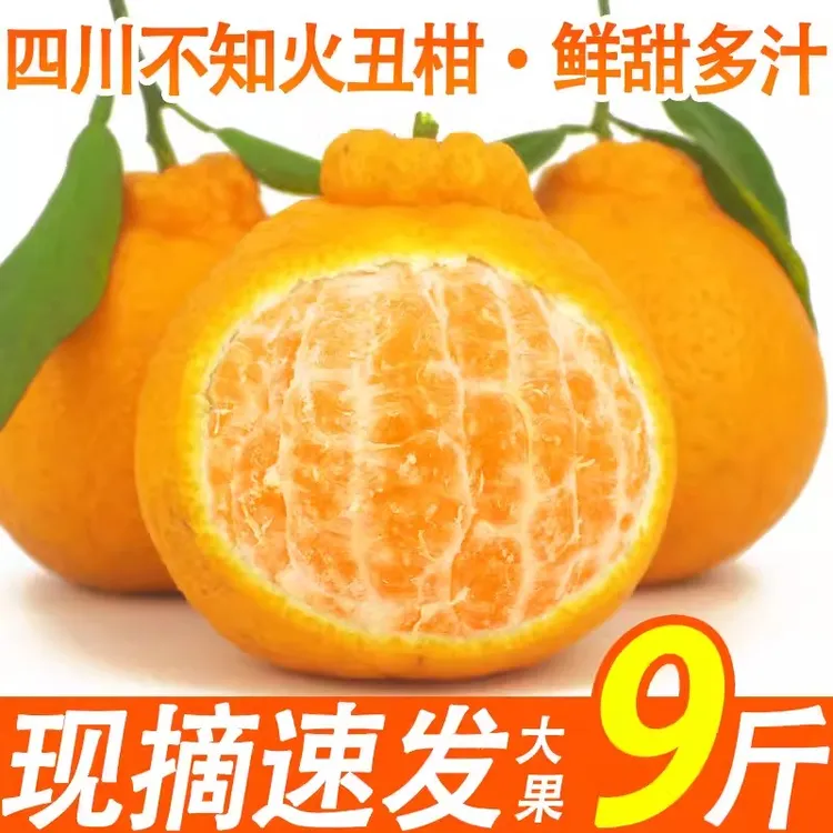 四川丑橘不知火丑八怪丑柑甜蜜桔子当季新鲜水果9斤大果顺丰发货