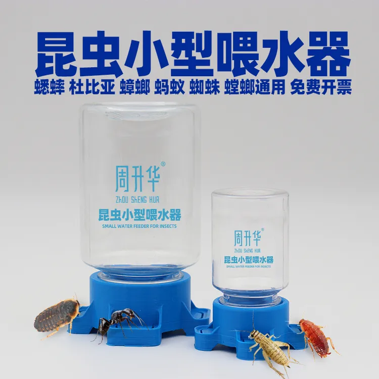 爬虫小喂水器白蟋蟀蝈蝈蛐蛐蜘蛛蚂蚁螳螂杜比亚油葫芦水盆饮水器