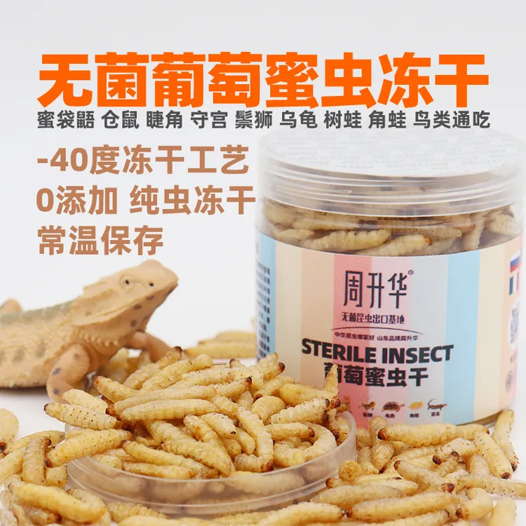 葡萄蜜虫蜂蜜玉米虫冻干蜜袋鼯花枝鼠鬃狮乌龟角蛙龙鱼蟋蟀饲料