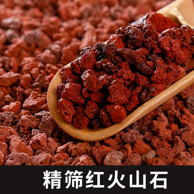 红火山岩颗粒养花专用透气大颗粒兰花石专用营养土植料火山铺面石