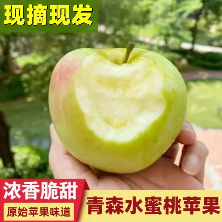 （送礼佳品）正宗青森苹果水蜜桃苹果脆甜多汁5斤产地自然直发新鲜