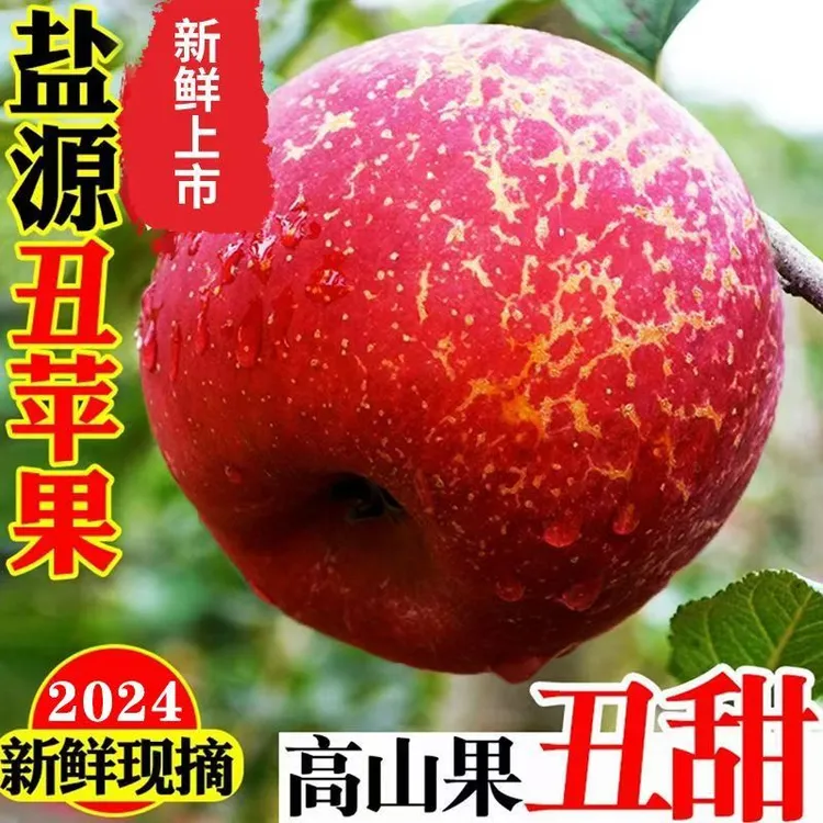 【产地直发】正宗盐源糖心丑苹果大凉山冰糖心丑苹果苹果冰糖心脆甜