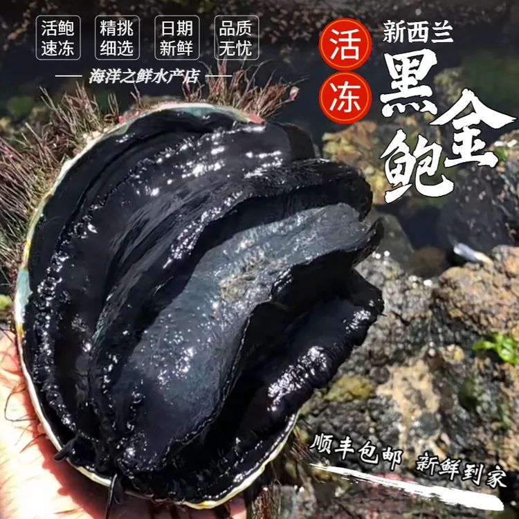 新西兰黑金鲍深海捕捞鲜活冷冻单个1-2斤顺丰空运鲜嫩口感饱满