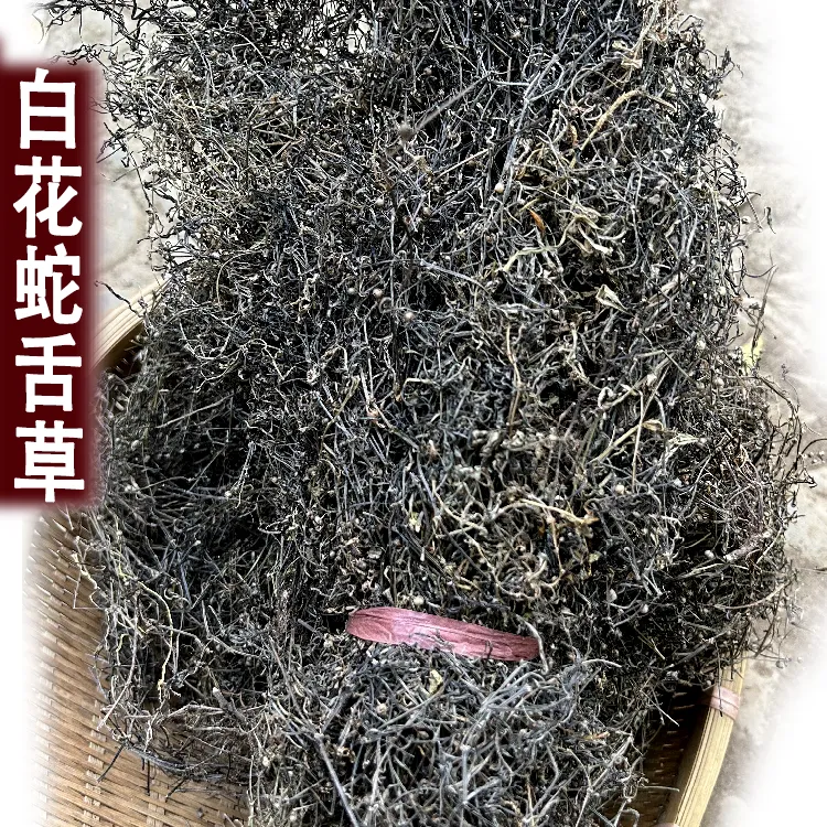 2025赣南新鲜晒干白花蛇舌草蛇舌草整株晒干250g