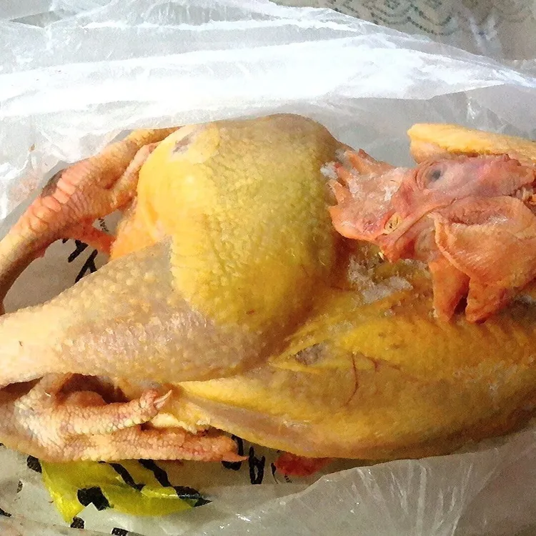 农村散养黄皮红肉大冠溜达鸡大公鸡