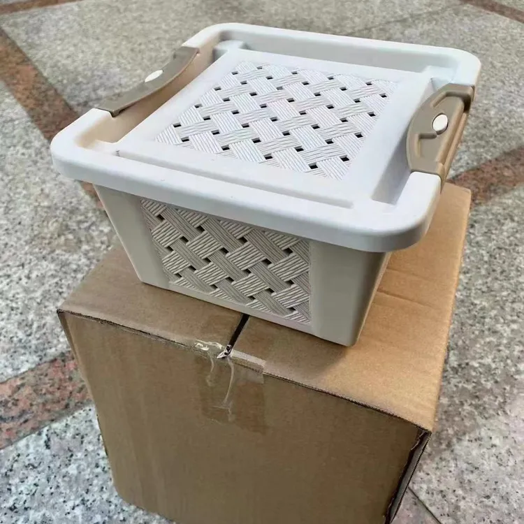 短毛金丝熊运输笼