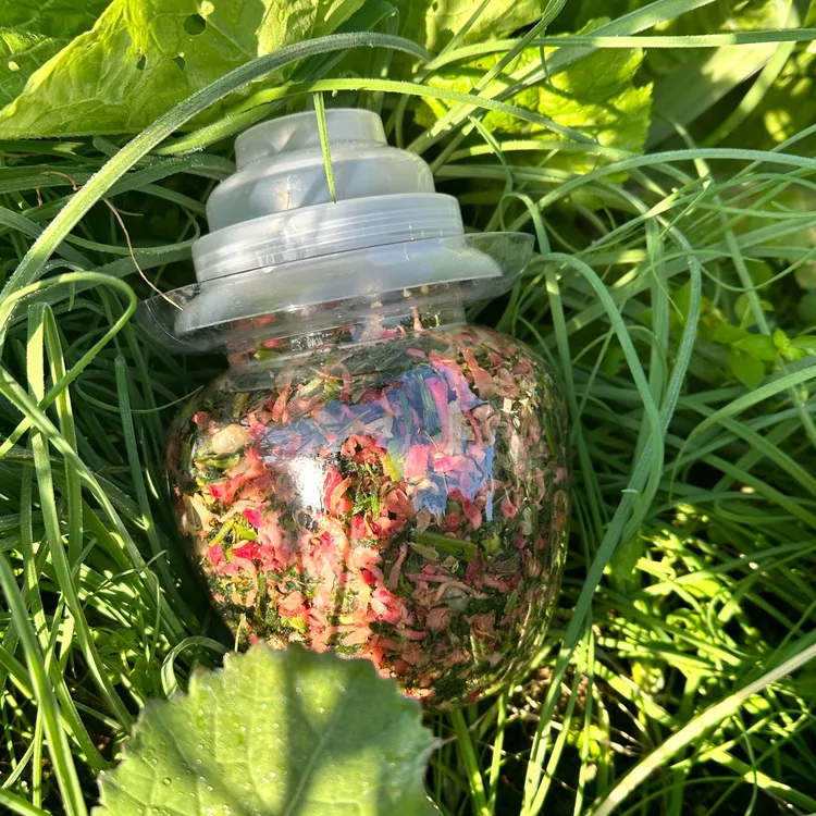 苍溪特产野生折耳根野葱子盐须蒜苗萝卜丝纯手工腌野菜咸菜下饭菜