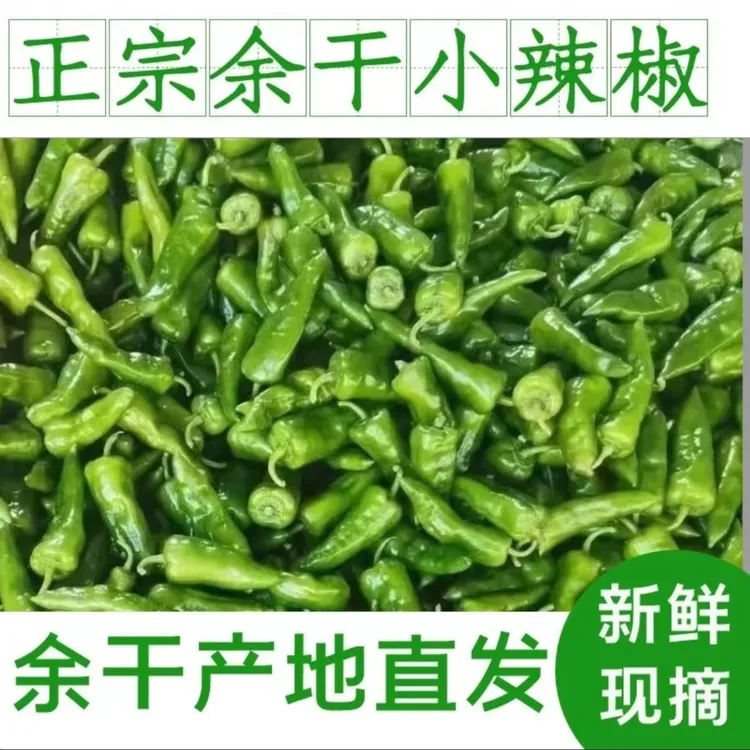 余干辣椒丰收辣椒两斤包邮正宗正宗正宗小辣椒