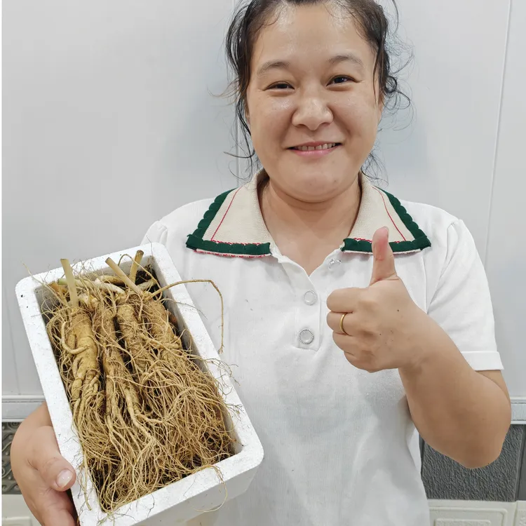 长白山脉新鲜人参十支一盒装，免费送泡沫箱加苔藓加冰袋