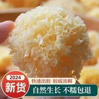 椴木银耳250g/500g 糯耳出胶高雪耳古田白木耳无硫丑耳搭配百合干