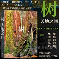 树 天地之间 摄影师阿特沃尔夫 近300张照片呈现树之星球