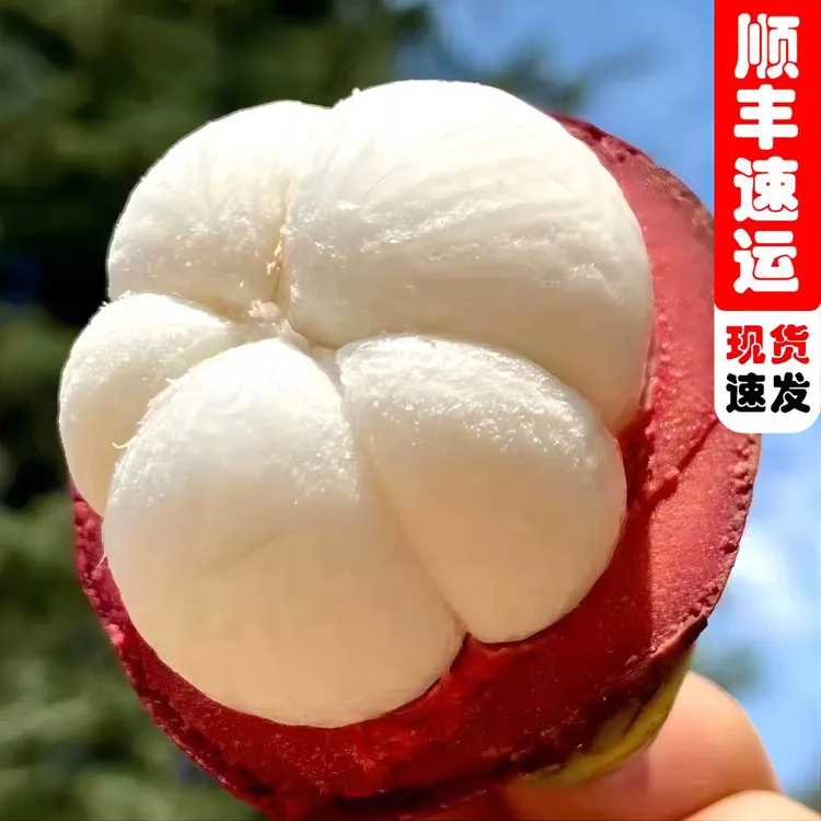 T【顺丰速运】泰国进口山竹老树麻竹新鲜优选食用饱满到手3-5斤装