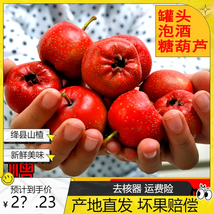 新鲜山楂鲜果山西绛县产地直发山里红果山西精选绛县水果直播