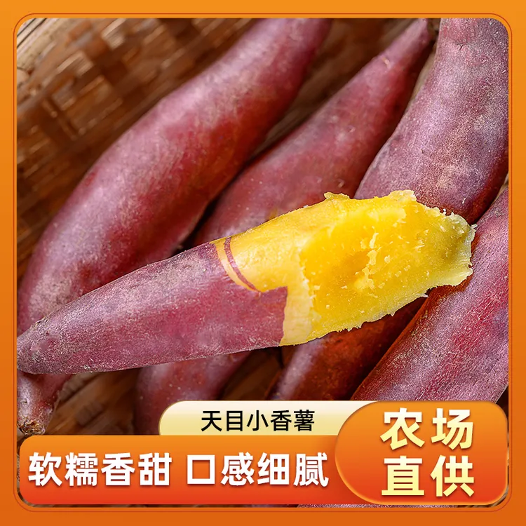 正宗临安天目山小香薯沙地板栗红薯新鲜地瓜糖心蜜薯批发产地直发