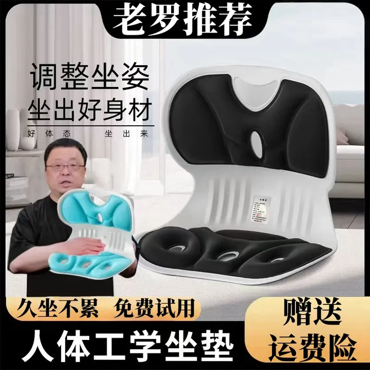 【罗永浩推荐】BK人体工学椅护腰坐姿椅腰部支持靠背垫上班久坐不累