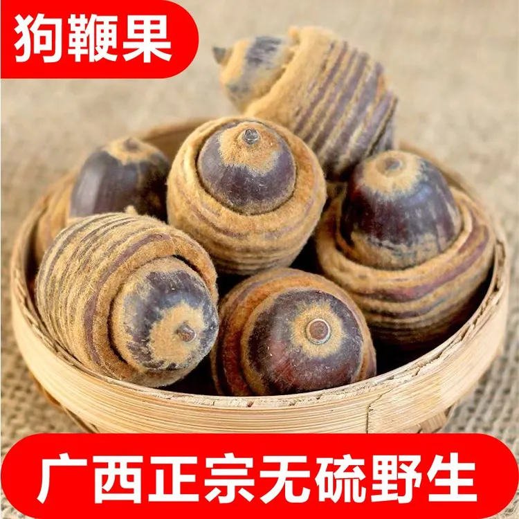 广西野生狗鞭果新货毛毛果猪仔粒100克/500克干货 泡酒男