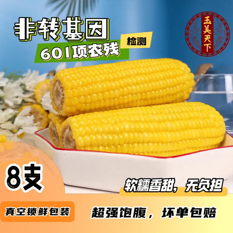 【玉美天下】内蒙古敖汉黄糯玉米8支*240g每支15厘米（试吃2支）