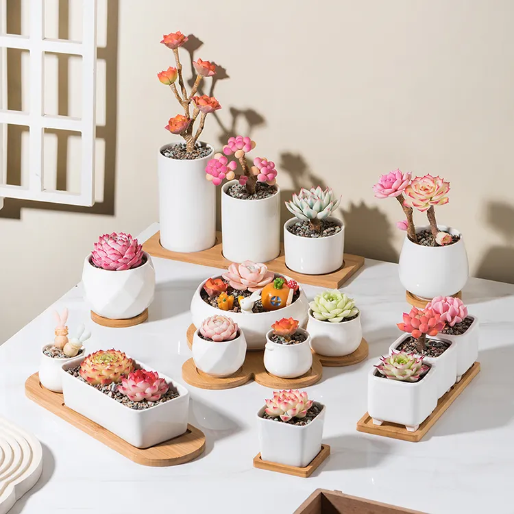 多肉白色陶瓷小花盆清新ins风带托盘办公桌面个性简约植物方盆