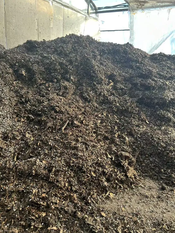 君子兰专用腐叶土8-10斤不生虫，不生小黑飞虫的花土（新型）  