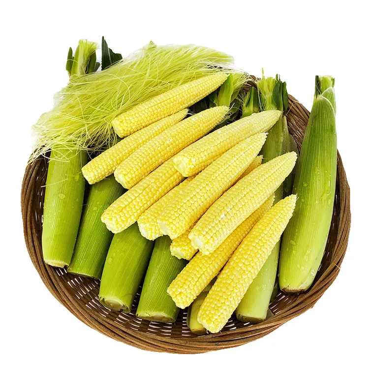 广西玉米笋心带皮迷你小玉米笋新鲜嫩玉米笋现摘食用批发包邮