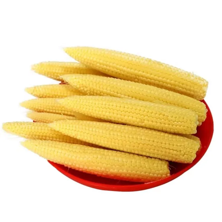 【丽华专属】广西横州新鲜现摘小玉米笋嫩新鲜嫩玉米笋蔬菜食用包邮