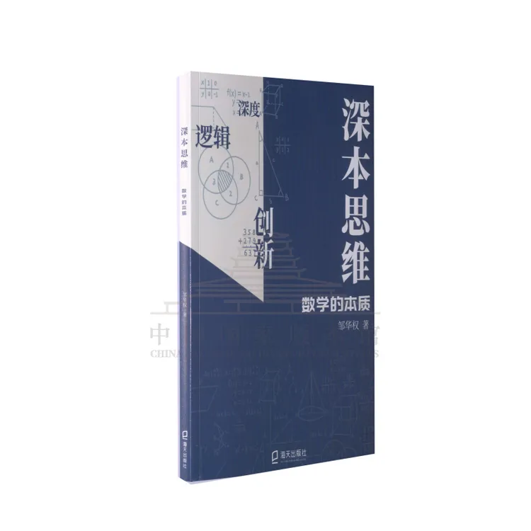 思维训练数学书家庭教育小学数学数学本质数学开窍