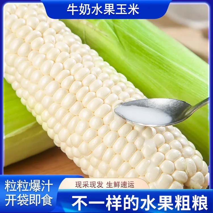 牛奶水果玉米新鲜冰糖奶油甜玉米新鲜现摘爆浆爆汁即食1/3/4斤装