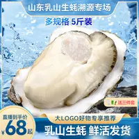 乳山生蚝多规格 5斤尝鲜装 鲜活发货清蒸蒜蓉烧烤顺丰发货