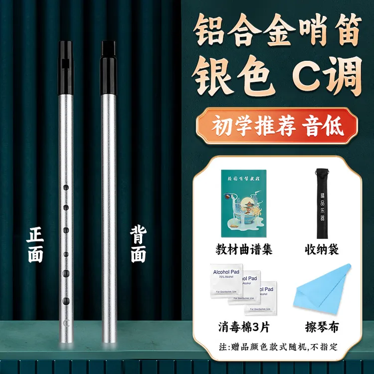 爱尔兰哨笛初学儿童C调D调专业演奏笛子成人锡笛6孔直笛竖笛乐器