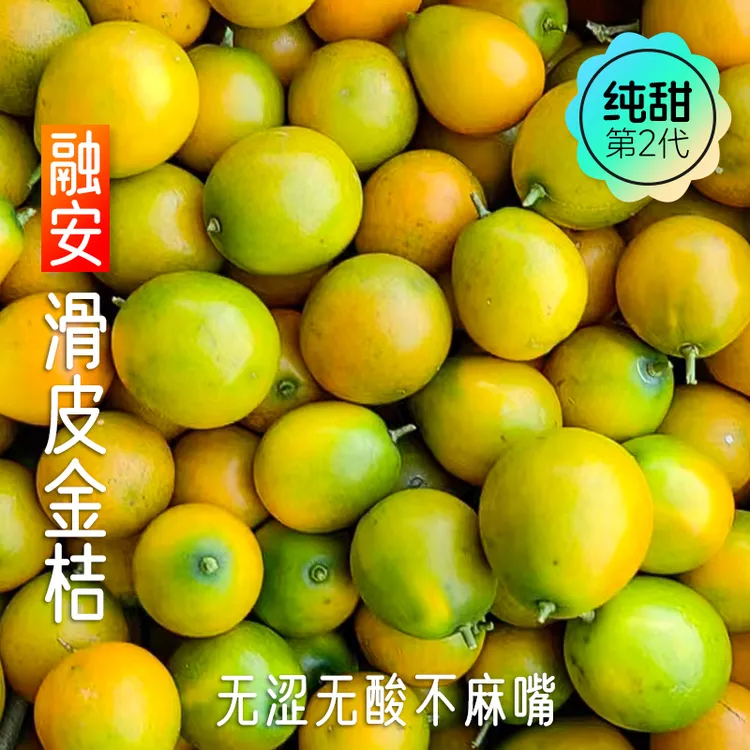 融安脆滑皮金桔  广西特产小金桔少籽 纯甜无酸 不麻嘴孕妇水果