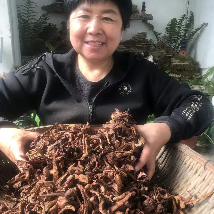 东北特产关门山野生红蘑（松树伞）0.5斤-1斤