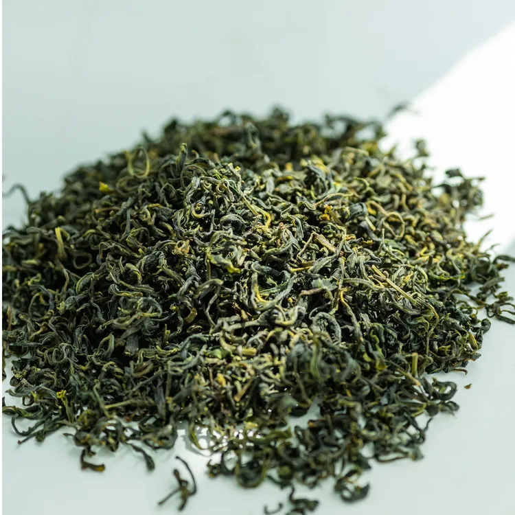 浓香型新茶正宗日照绿茶豆香沙口茶叶耐泡2025