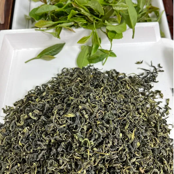 【日照绿茶新茶】日照绿茶新茶浓香板栗香耐冲泡口粮茶