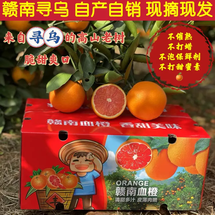 正宗赣南血橙红肉脐橙脆甜爽口香甜多汁原产地现摘现发红宝石橙
