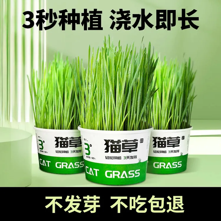 泡面猫草懒人猫草猫咪零食化毛球排毛球懒人猫草mini绿色多种