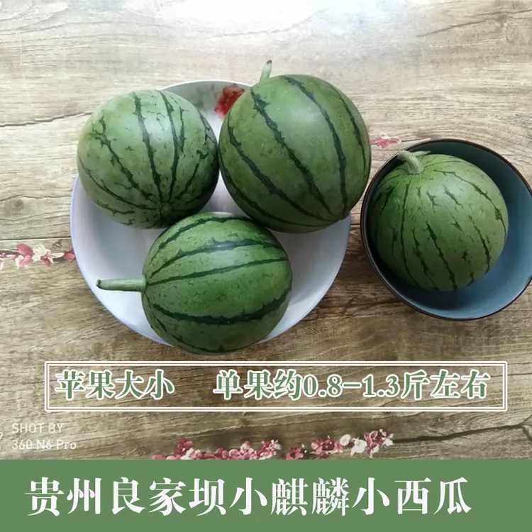 贵州德江小西瓜新鲜皮薄迷你小西瓜脆甜孕妇水果袖珍迷你手撕脆皮