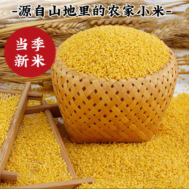 山地农家现磨当季多米油小米5斤装