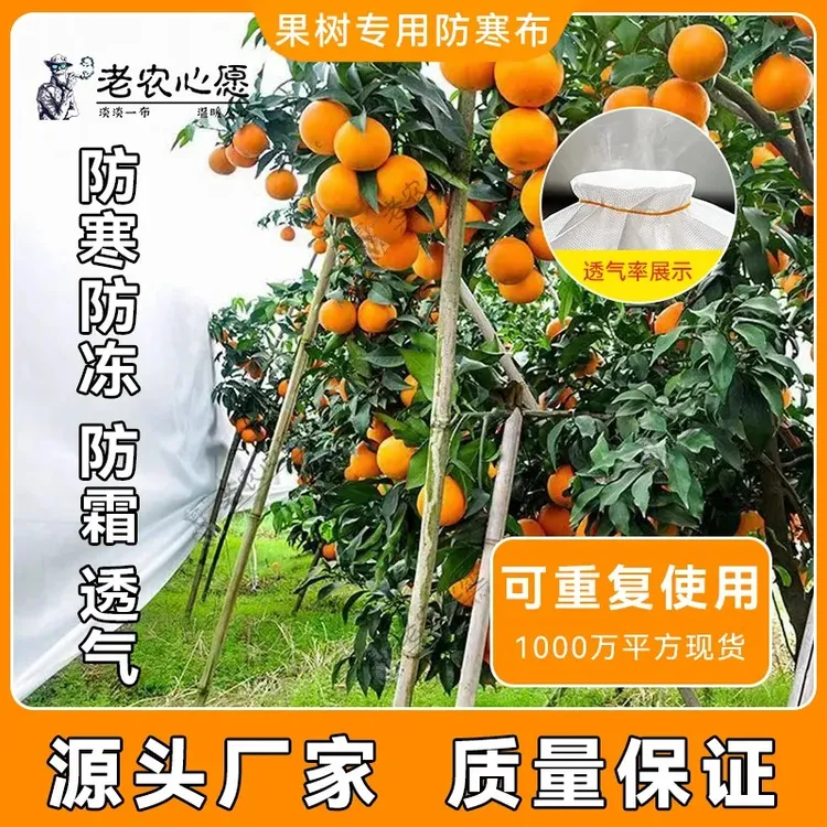 厂家直销果树柑橘专用果园布防霜冻透气透光防水保温防风果园防冻