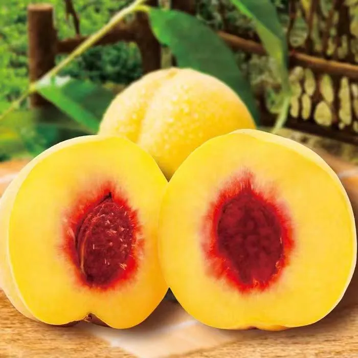 湖南曾匠锦绣黄桃清脆香甜多汁爽口  5斤/箱 