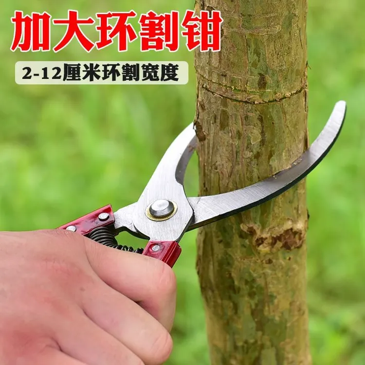果树环割刀环剥刀环枝剪荔枝柑桔蜜柚果树剥皮环剥刀芽接刀