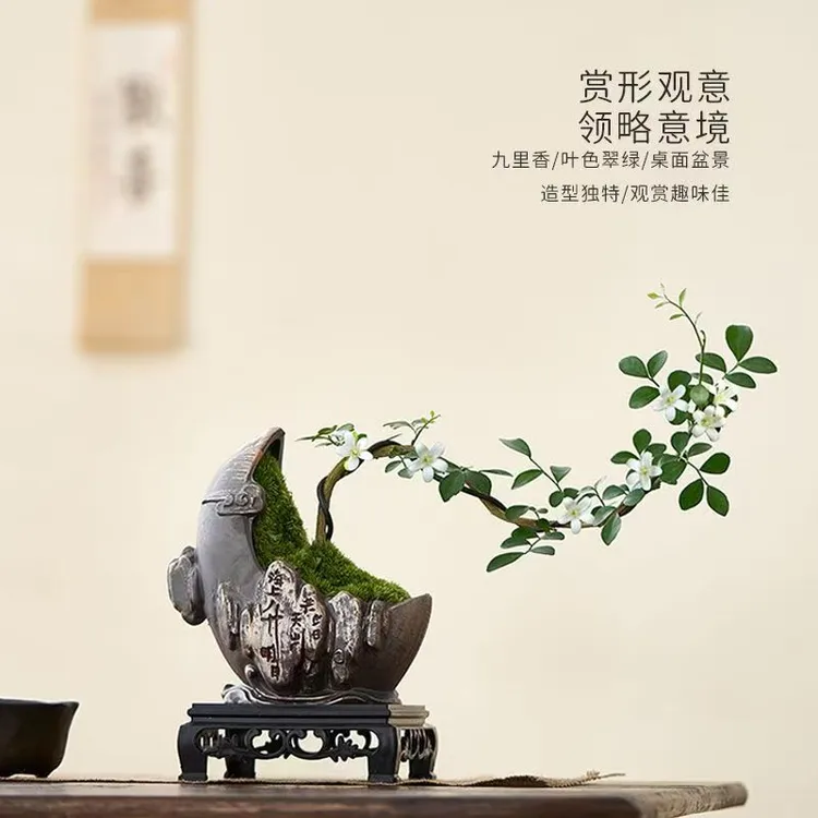 小叶飘枝九里香盆栽中式盆景室内办公室书房植物四季常青装饰摆