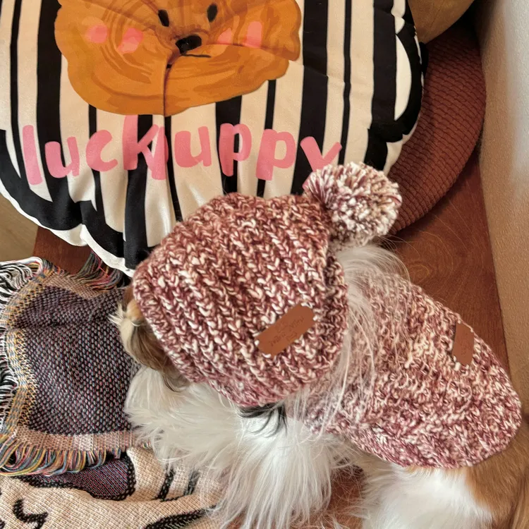 Nika宠物服狗狗新年圣诞秋冬保暖针织开衫手工毛线帽子毛衣围巾