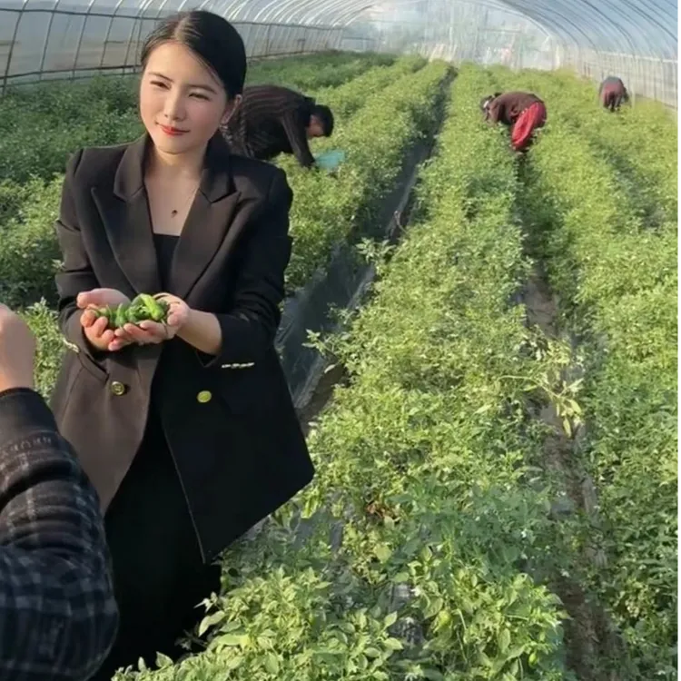 余干辣椒正宗余干原产地辣椒现摘现发送豆豉