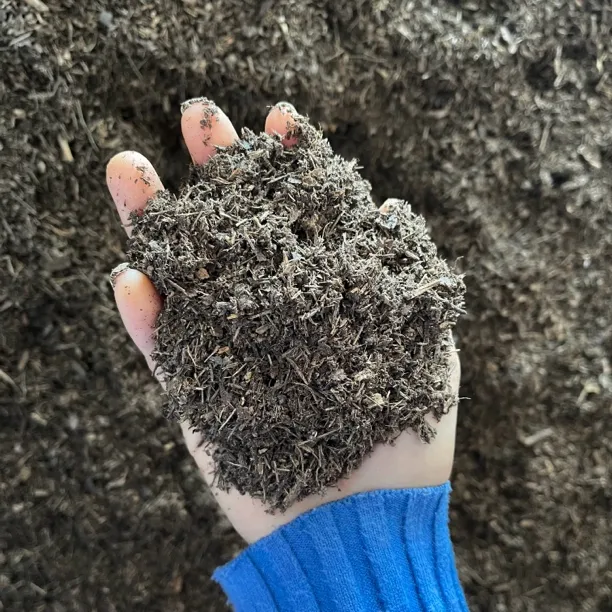 无土无沙无泥松针腐叶腐植土生根超快（扦插育苗种菜种草莓）