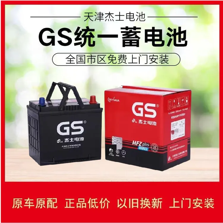 适配阳光思域逍客奥德雅阁轩逸D50原装汽车电瓶杰士GS电池46B24L