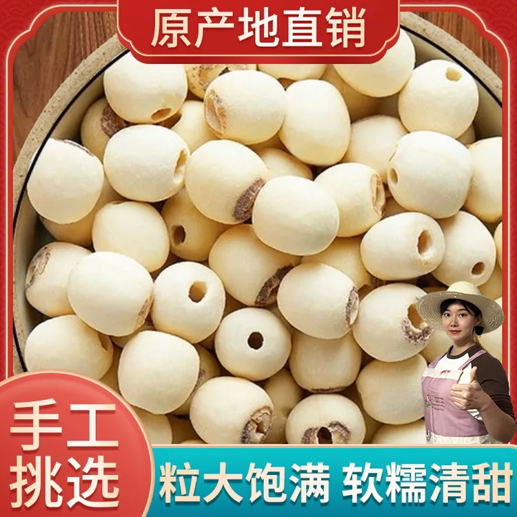 荷忆湖南莲子去芯白莲子500g干货新鲜大袋装颗粒营养饱满莲子干货