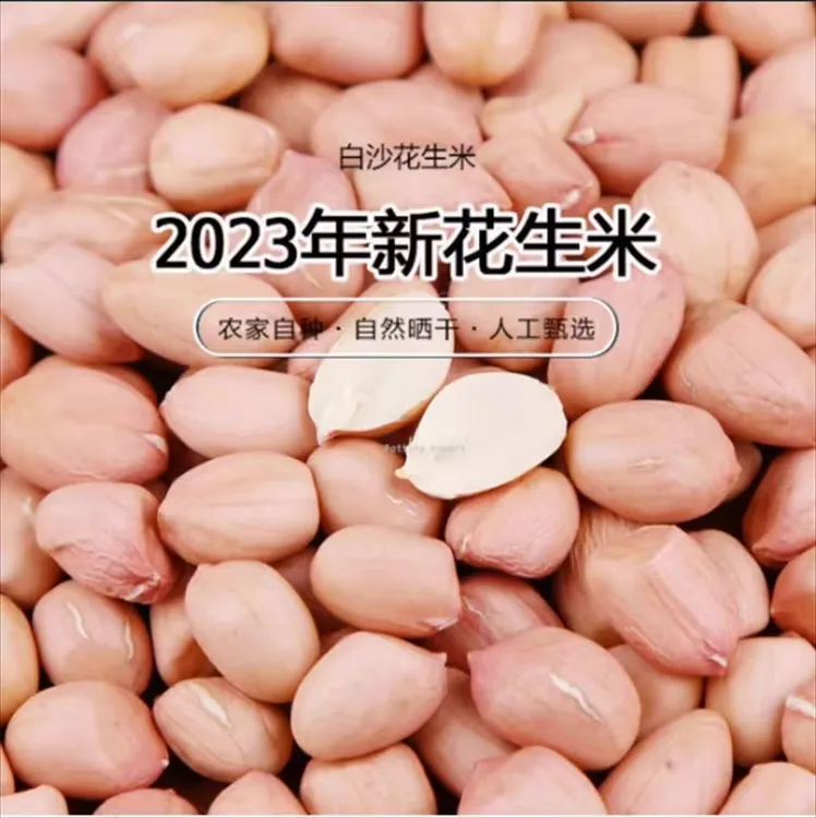 2023年当季新上市白沙花生米自种粉皮花生米脱壳花生米3斤/5斤