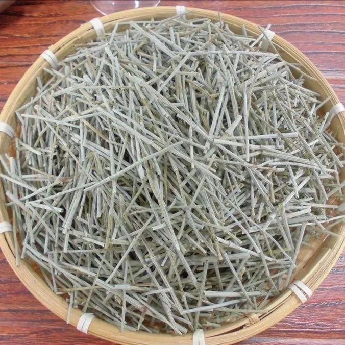 新鲜野生节节草 小木贼草笔筒草 自然晒干
