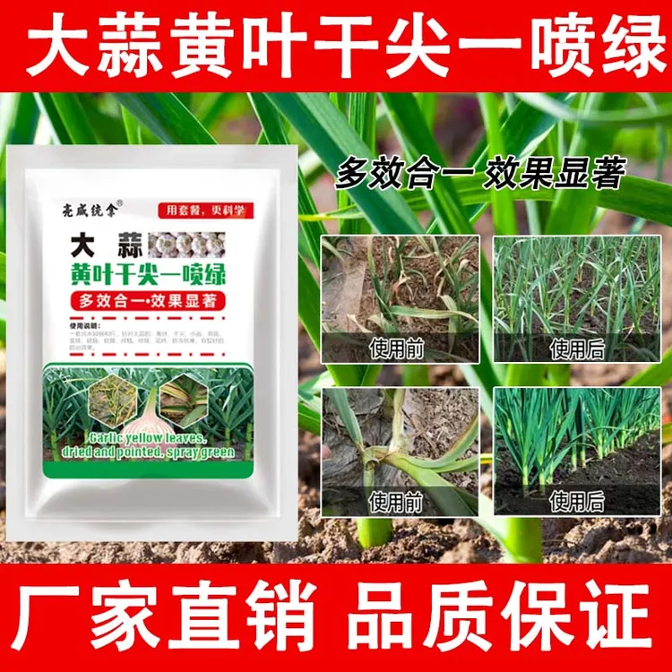 亮威大蒜专用大蒜黄叶干尖叶枯病紫斑病锈病专用农药杀菌剂