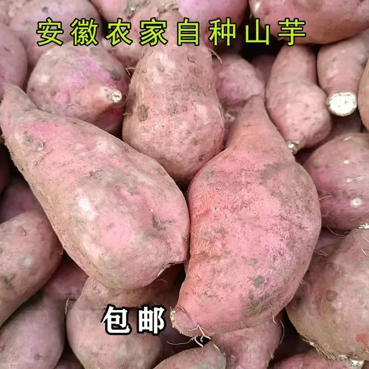 安徽芜湖无为襄安特产白心红薯老品种山芋番薯甜地瓜一份3斤包邮